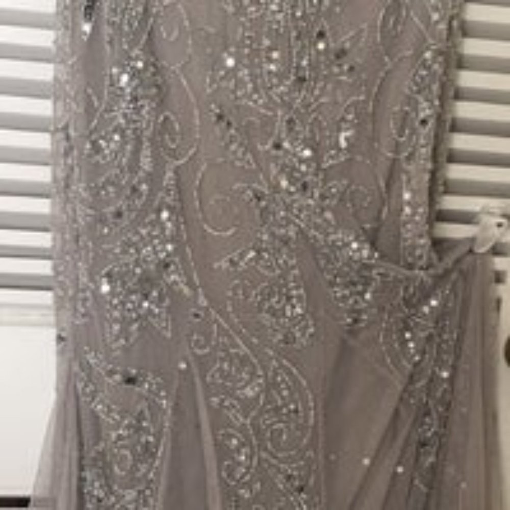 Pizarro Nights Size 6 Silver Mother of Bride Gown - Picture 2 of 6